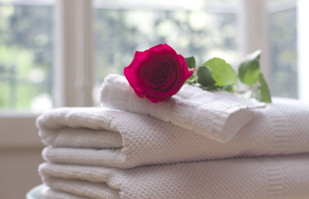 Trandafir rosu asezat pe prosoape albe la geam